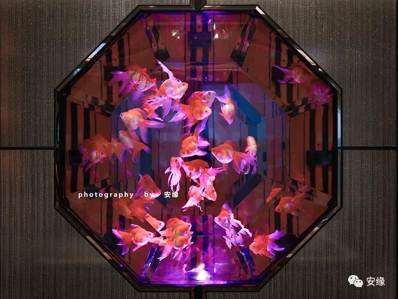 婢抽棬鎷嗚В浜旈噾,婢抽棬棣栭グ鎷嗙