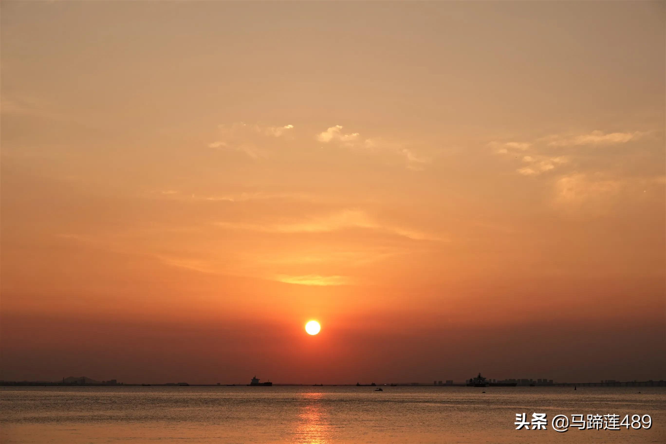 青岛金茂湾,青岛金茂湾地址