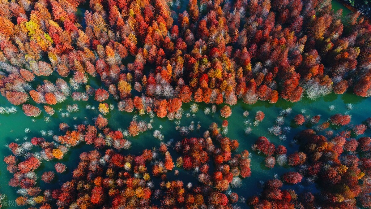 安徽省定远县有什么好的景点,安徽省六安金寨县燕子河镇景点