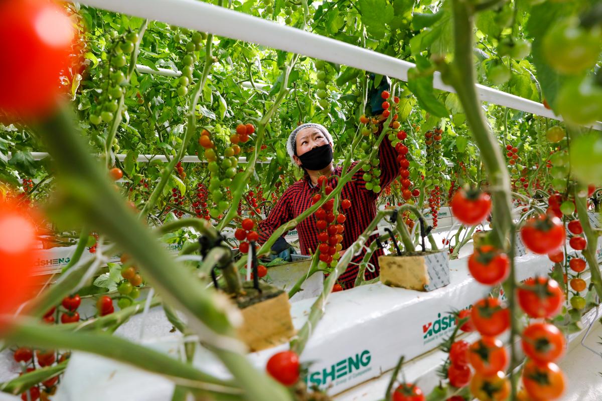 奋进新时代谱写新篇章感悟,古浪乡村振兴政策解读