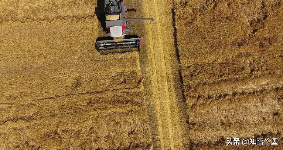 农村办小工厂致富门路,农村走村串巷的致富门路