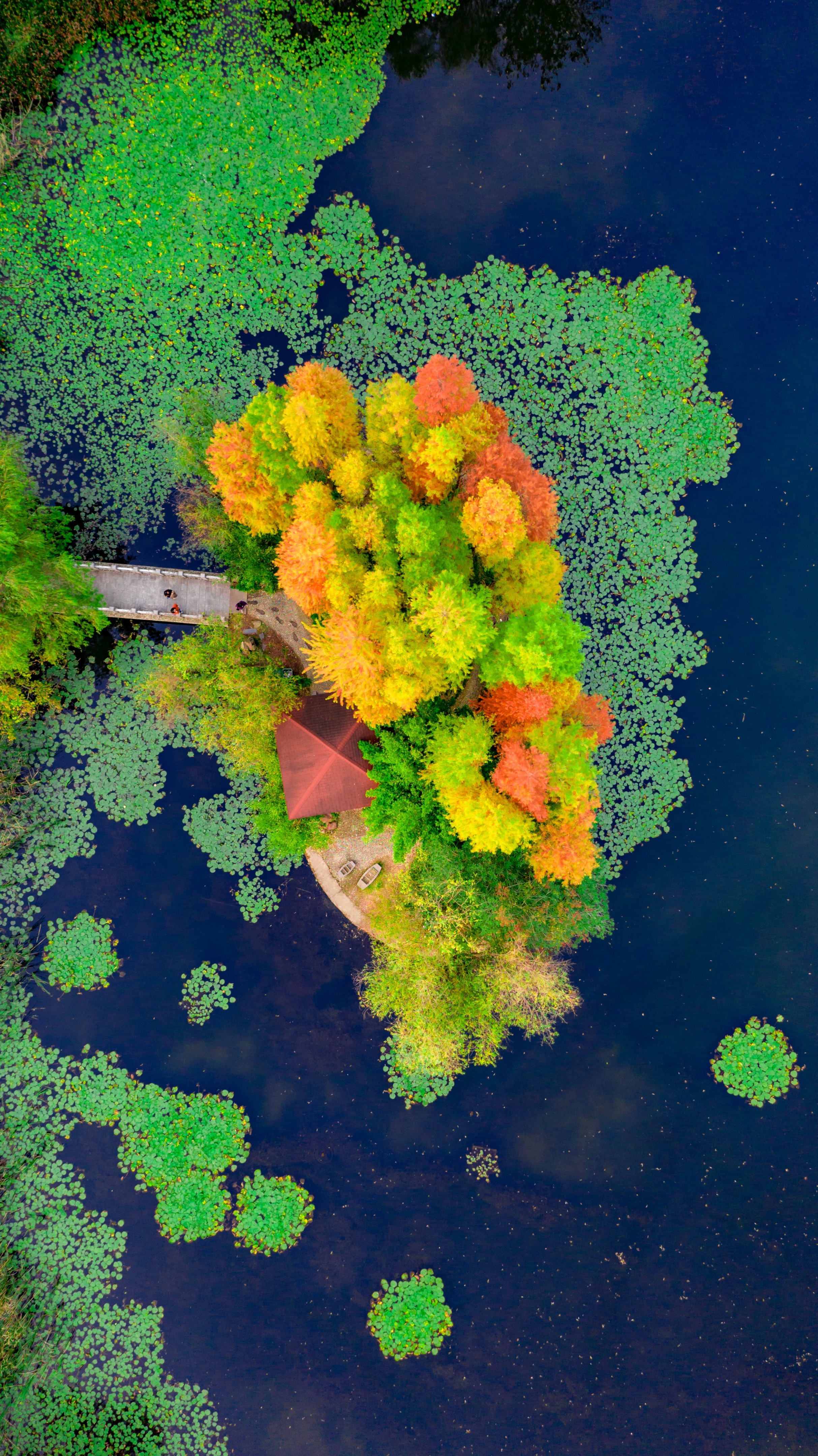 合肥网红打卡地有多出片,合肥出片打卡地