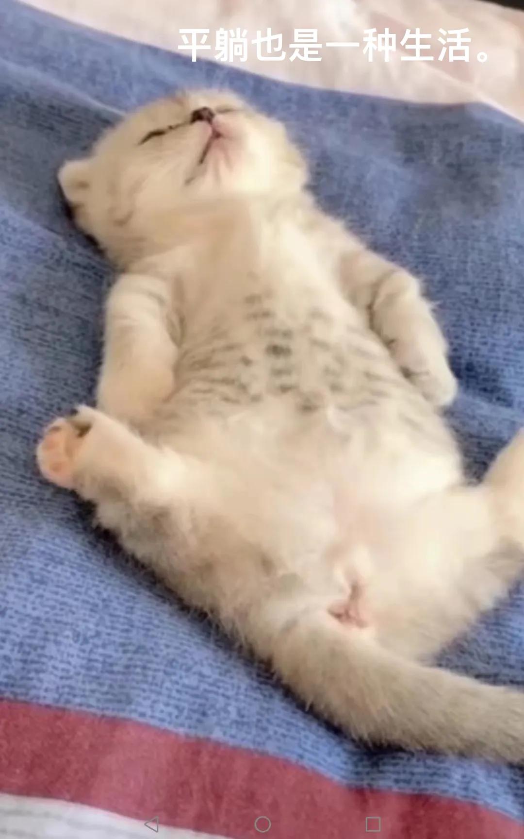 泰国感染轻微新冠怎么治疗,在泰国被感染新冠病毒后该怎么办