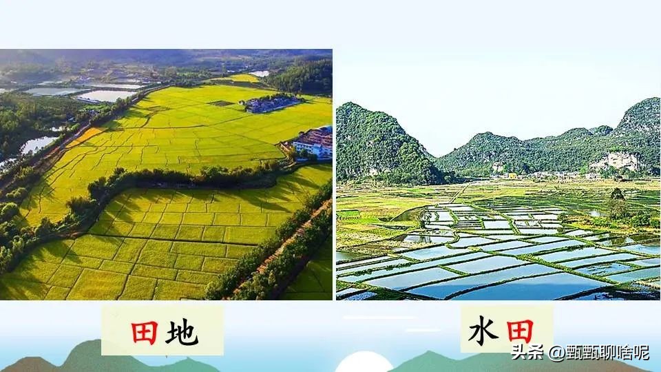 部编版语文二年级上册识字4课文,部编版语文一年级上册识字课实录