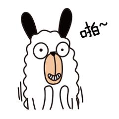 莆田有没有机场,莆田机场今天的消息