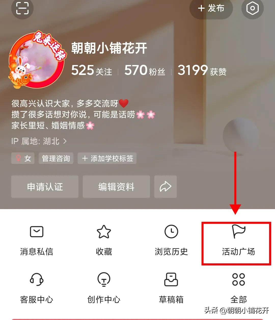 新手必看头条隐藏赚钱秘诀,新手避坑的十大指南