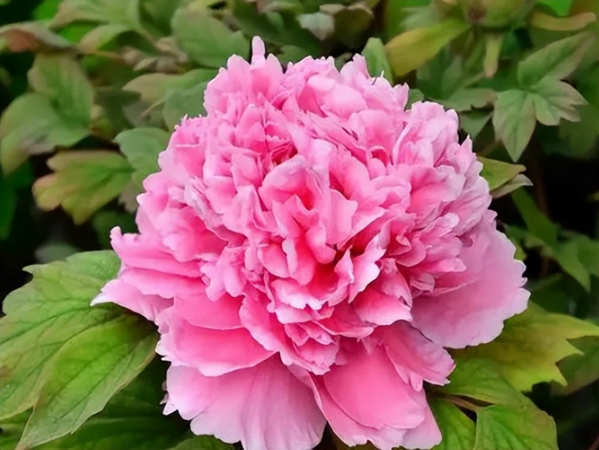 5天时间郑州出发适合去哪玩自驾,郑州到太行山一号公路自驾路线图