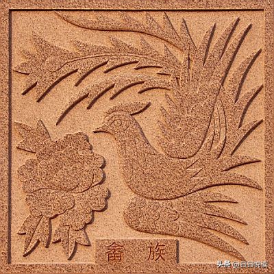 中国的各民族的图腾文化,56个民族各都有传统文化