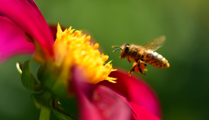 五首关于春天的经典诗词,关于春天绝美的古诗词句
