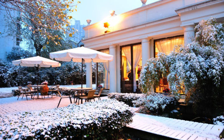 庭院防鼠防虫,如何防治高层老鼠方法