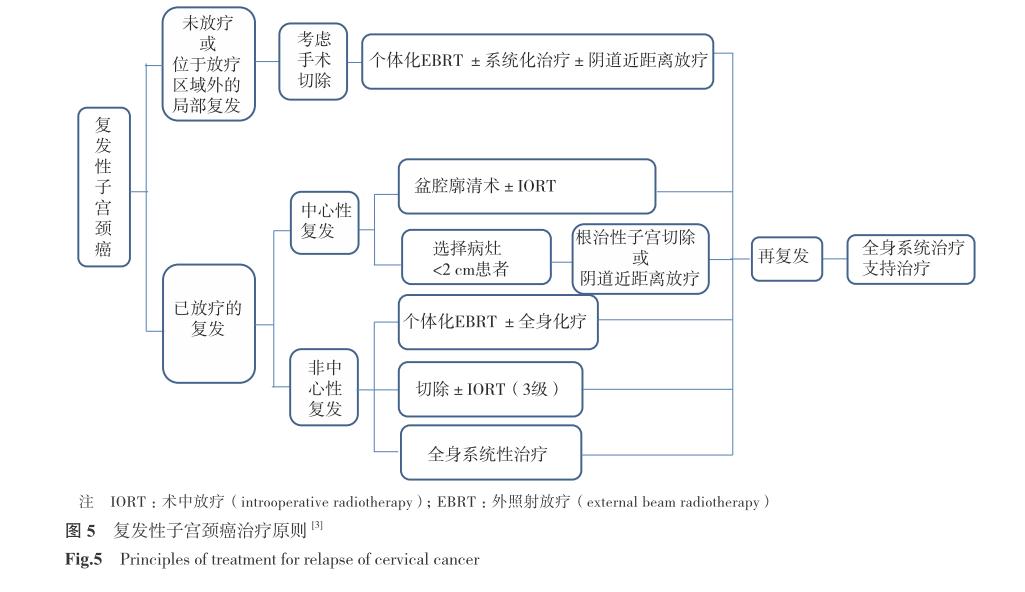 派特灵治疗癌,派特灵在妇科怎么使用