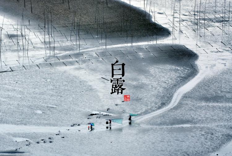 美到窒息的二十四节气图,二十四节气图画大全图片