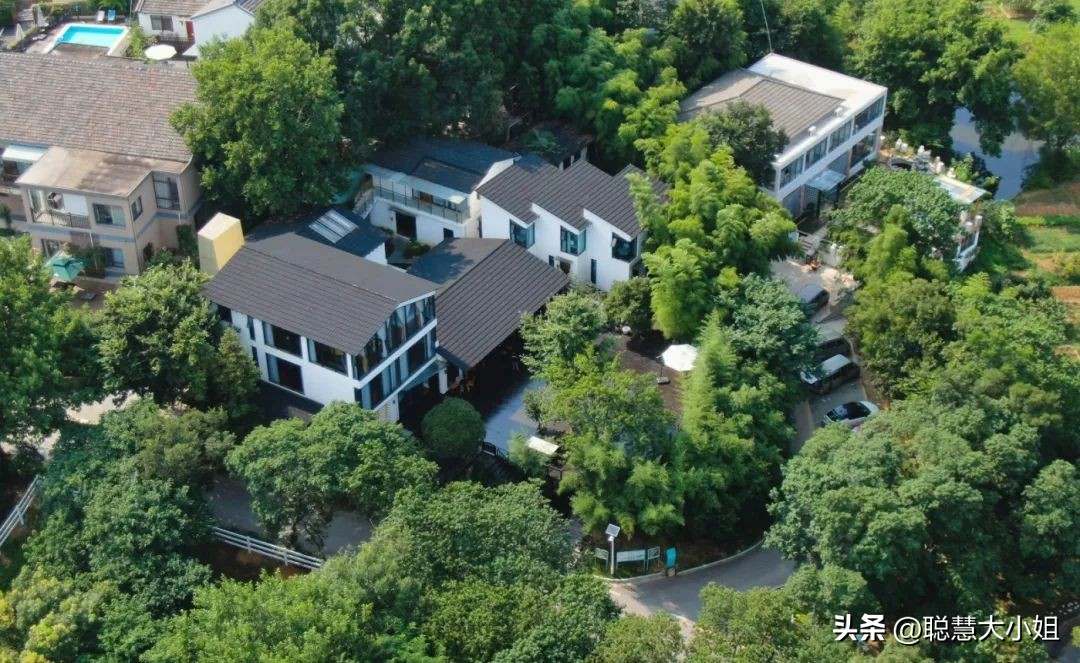 南京赏秋枫叶,南京秋天赏枫叶好去处