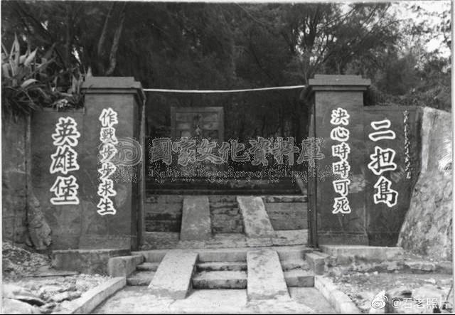 农村搞笑卖猪视频,80年代农民卖猪图片图文