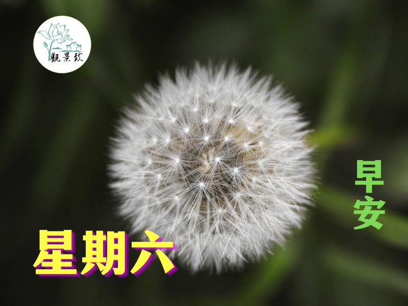 2023年4月29日新闻简报,节日快乐