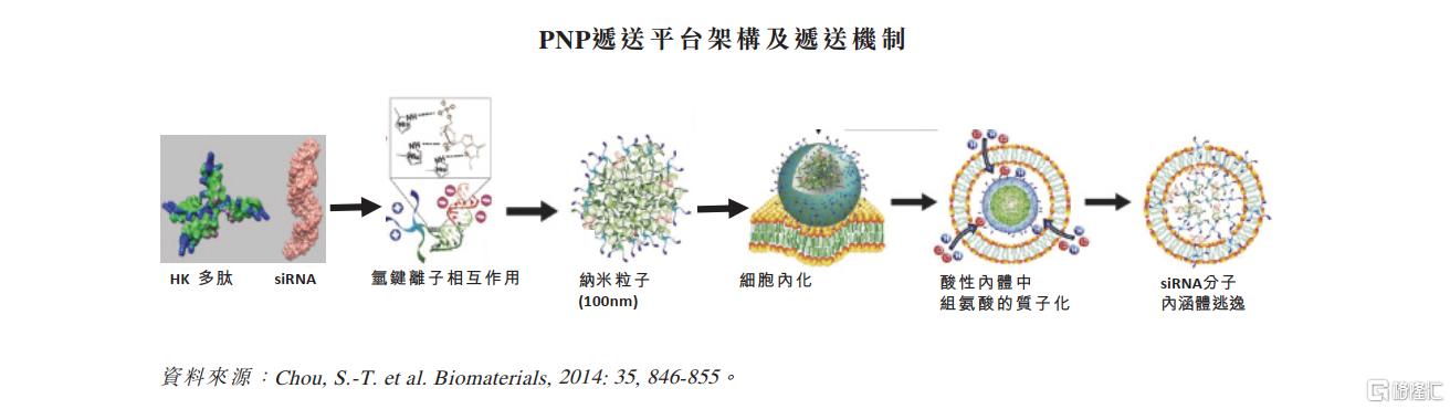 全球RNA赛道稀缺标的Sirnaomics或成核酸药物第一股