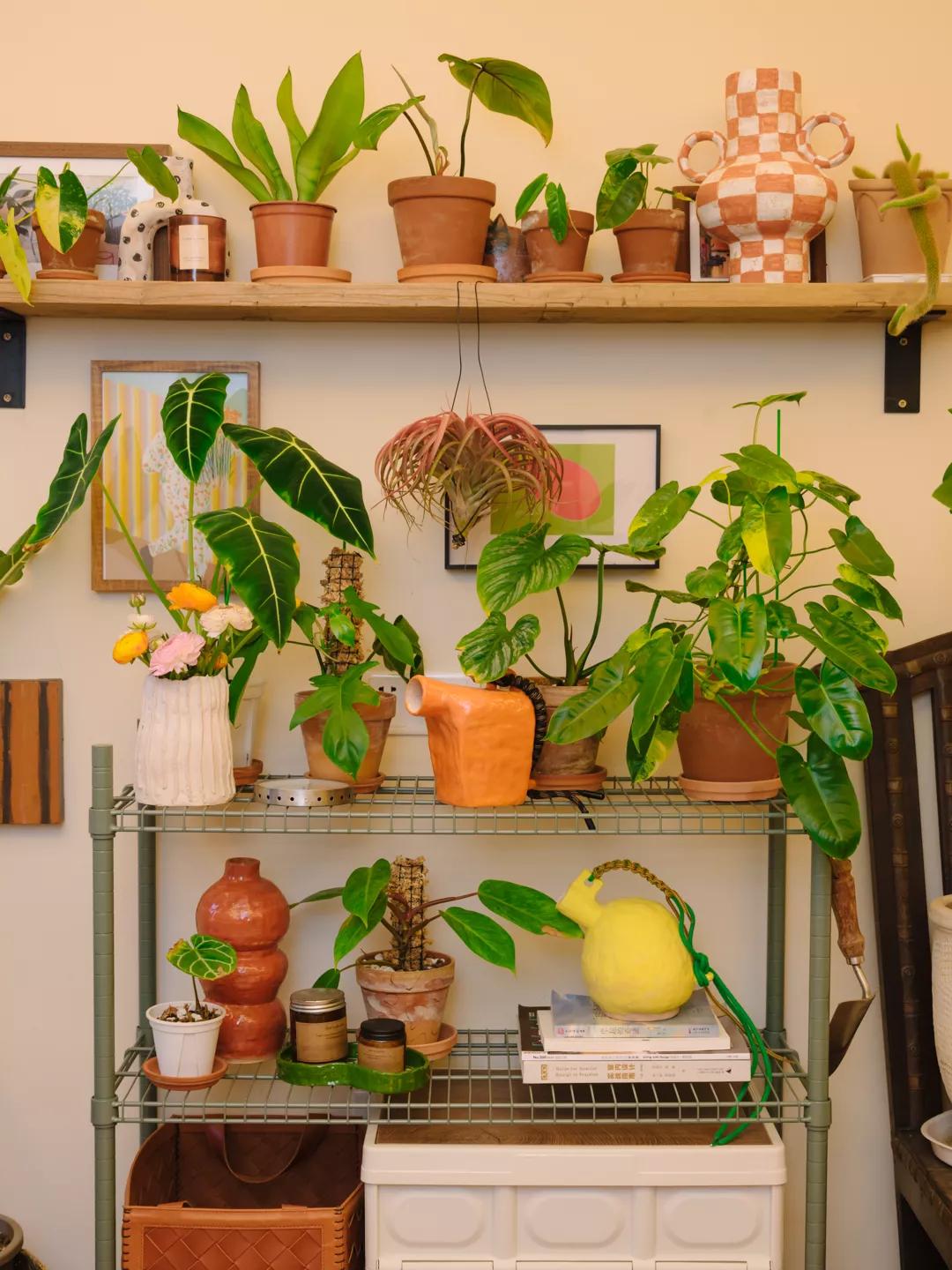 花3万元改造房子,情侣120平出租屋改造