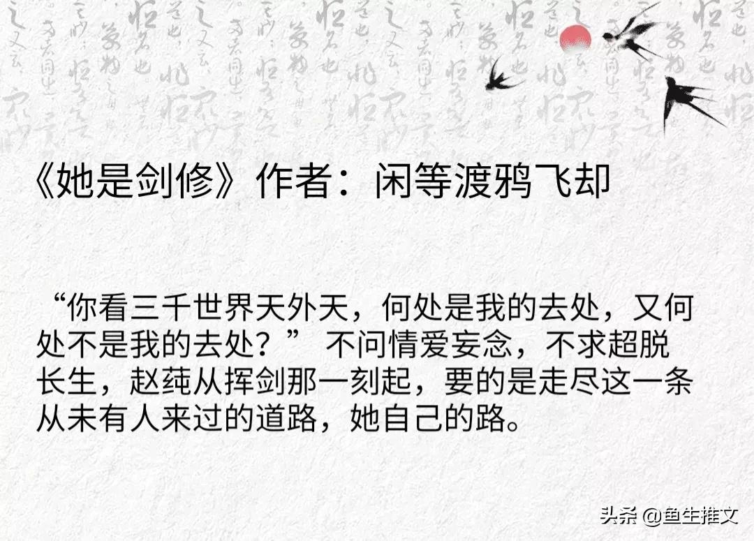 仙侠穿书甜爽文女强剑修,女强修仙小说推荐剑修