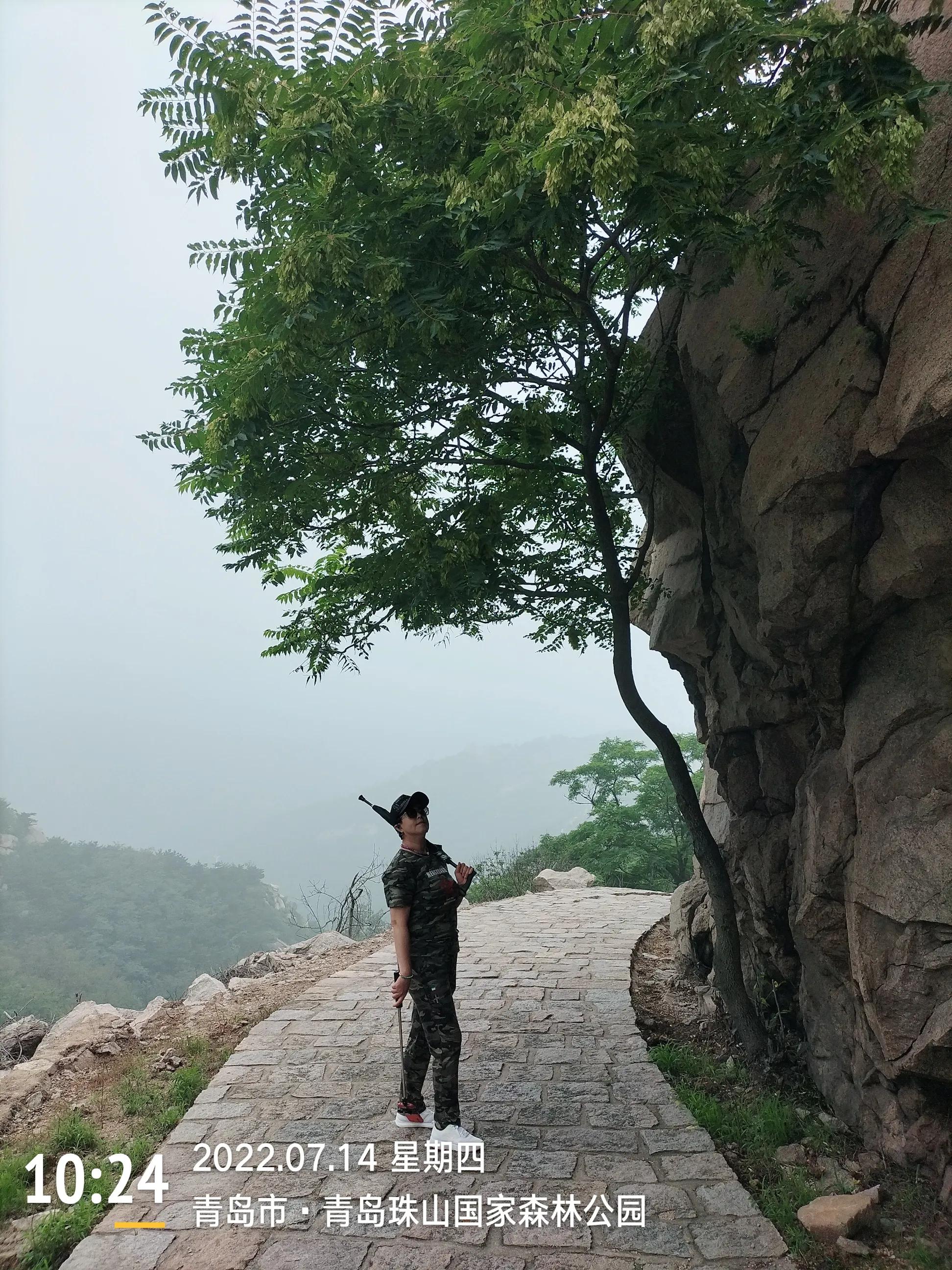 青岛珠山国家森林公园美景,黄岛旅游感受