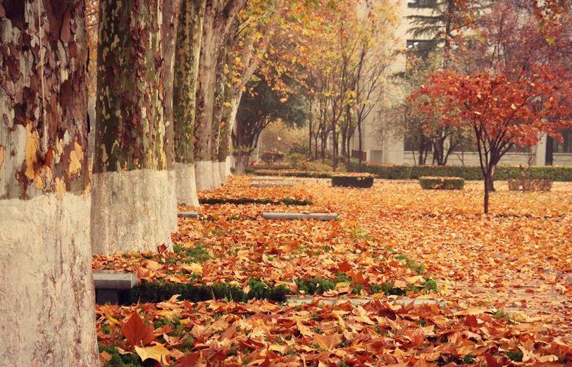 写人生看破世态炎凉的诗,七句诗写尽世态炎凉