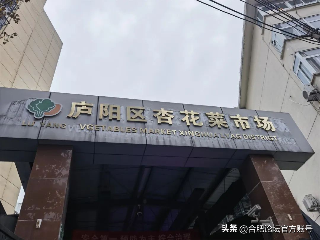 合肥杏花菜市场老样子,合肥杏花菜市