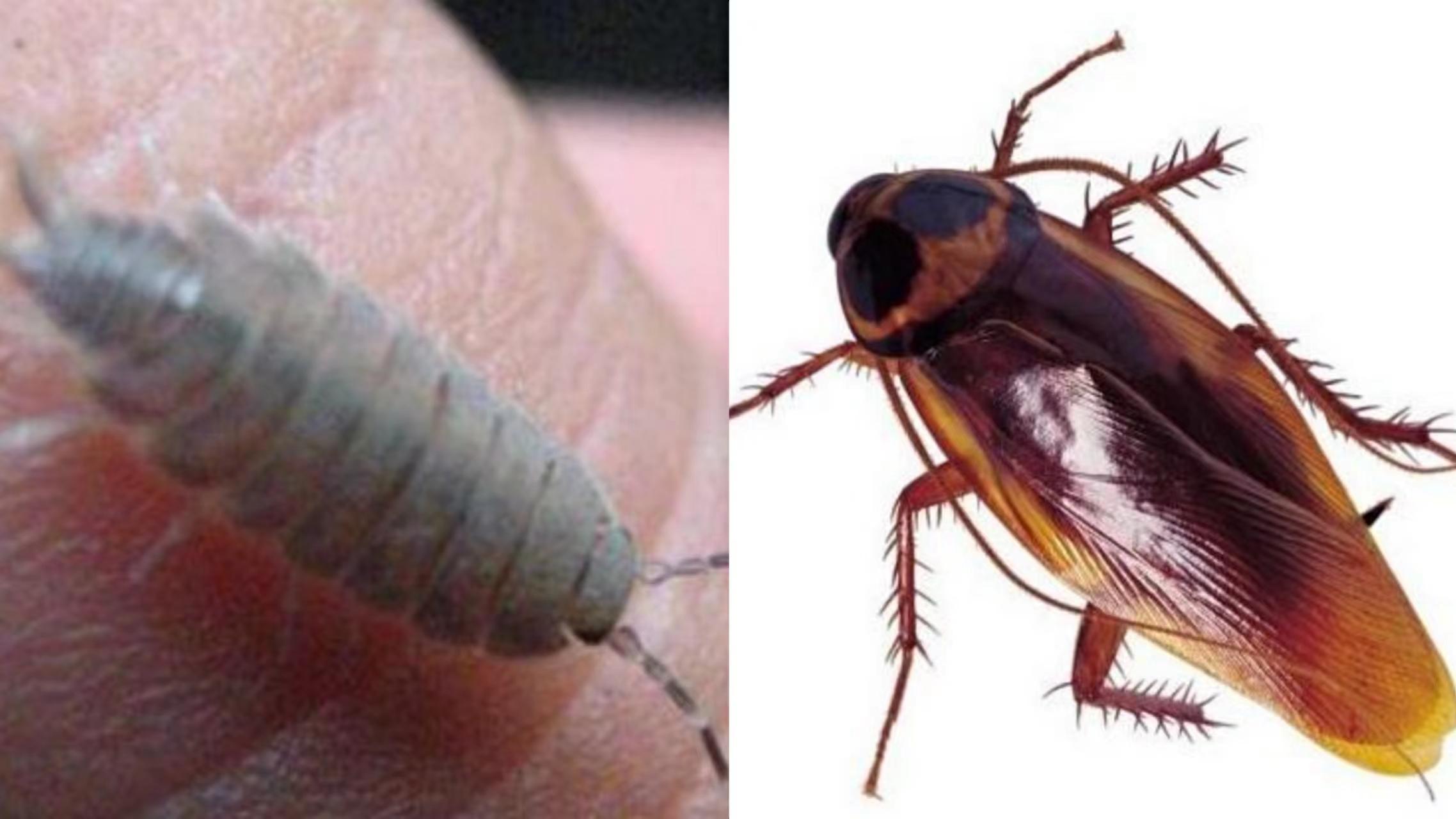 我亲身经历的社会事件作文,社会经历和感悟