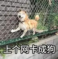 路由器知识大全,路由器购买知识