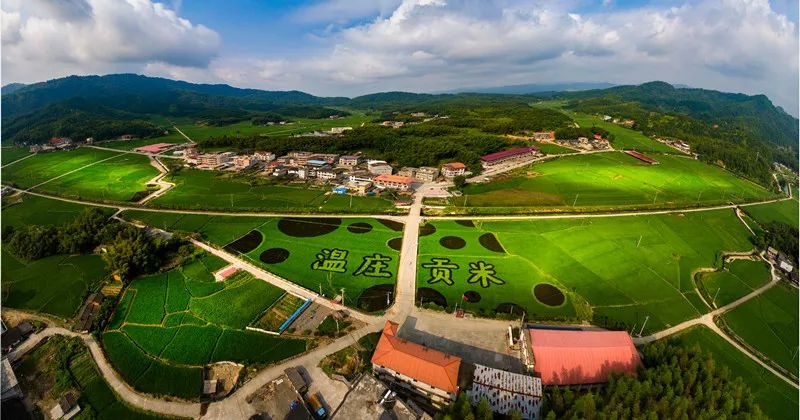 鏄庢邯闈╁懡鑰佸尯,涓夋槑鏄庢邯闈╁懡鑰佸尯