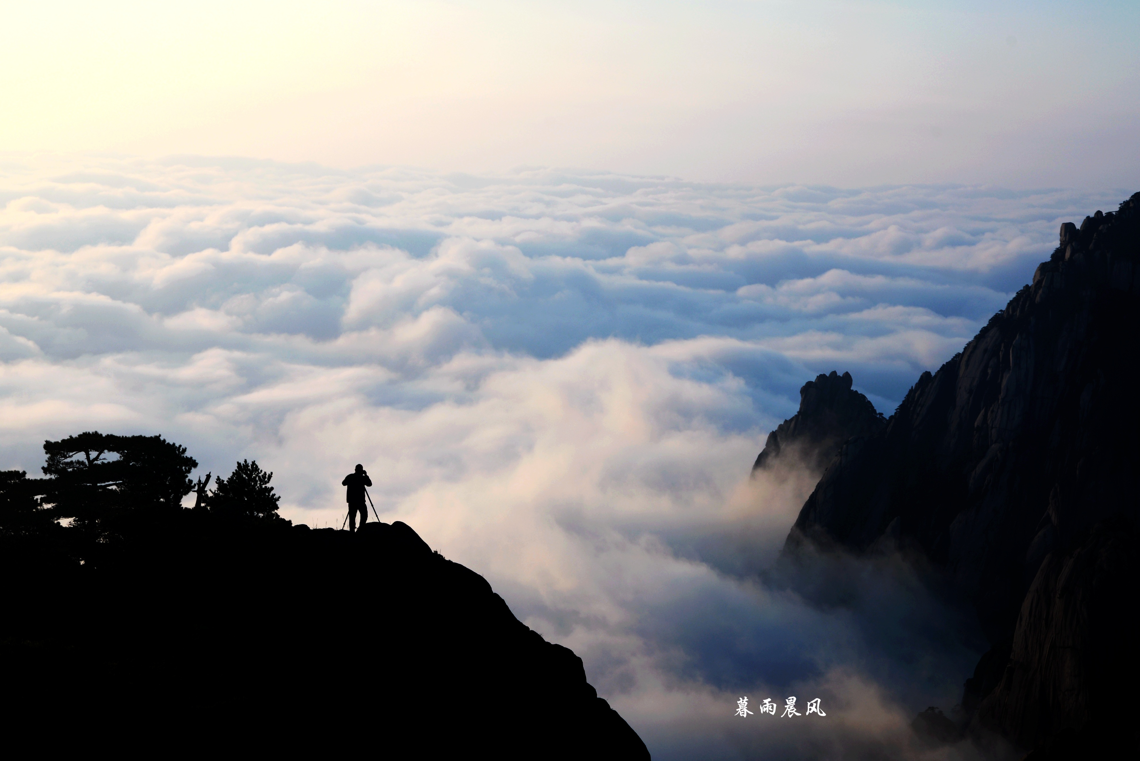 2014年黄山游,2014黄山银毫