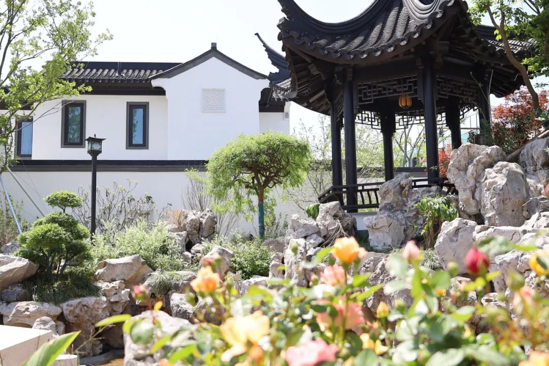 日照东方*阳城太**|总有“院望”曾相识！阅尽千帆，此心安处便是吾乡