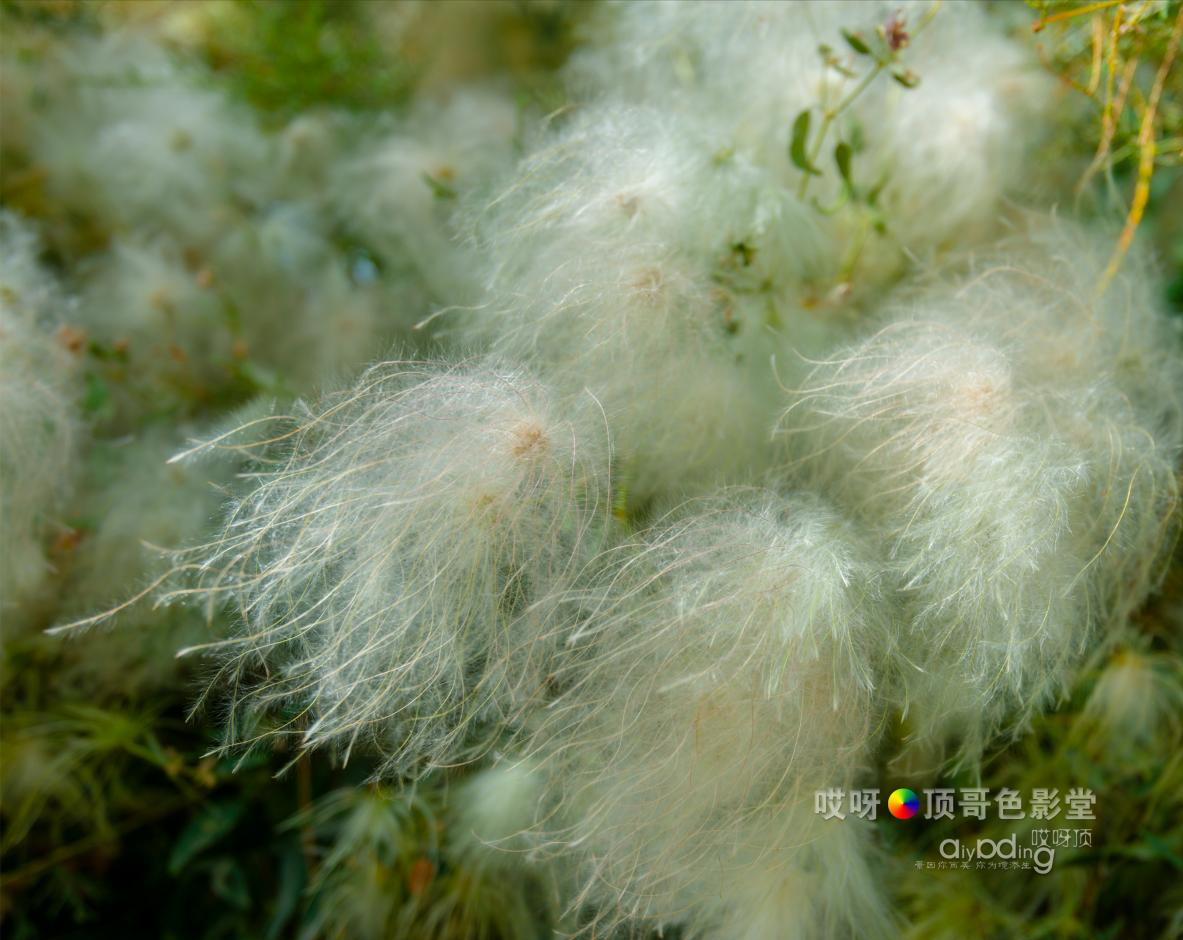 女司机带娃去新疆自驾游,带着女司机自驾游兰州