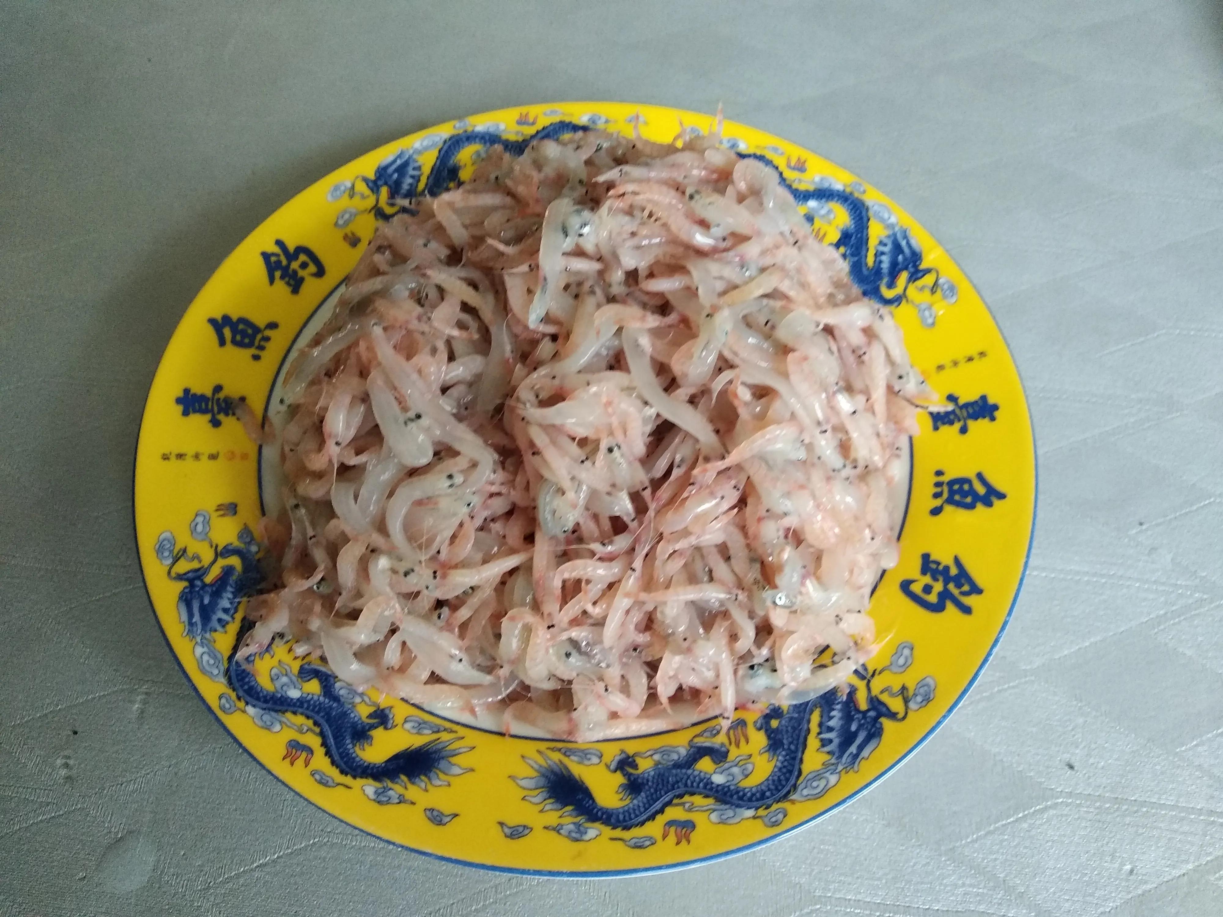 这个季节适合吃的小海鲜,春季肥美的小海鲜