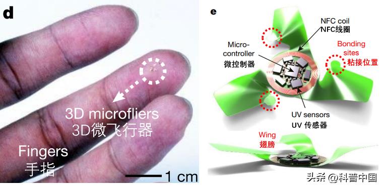 来看它们春风吹又“生”，“生”孩子的“生”！