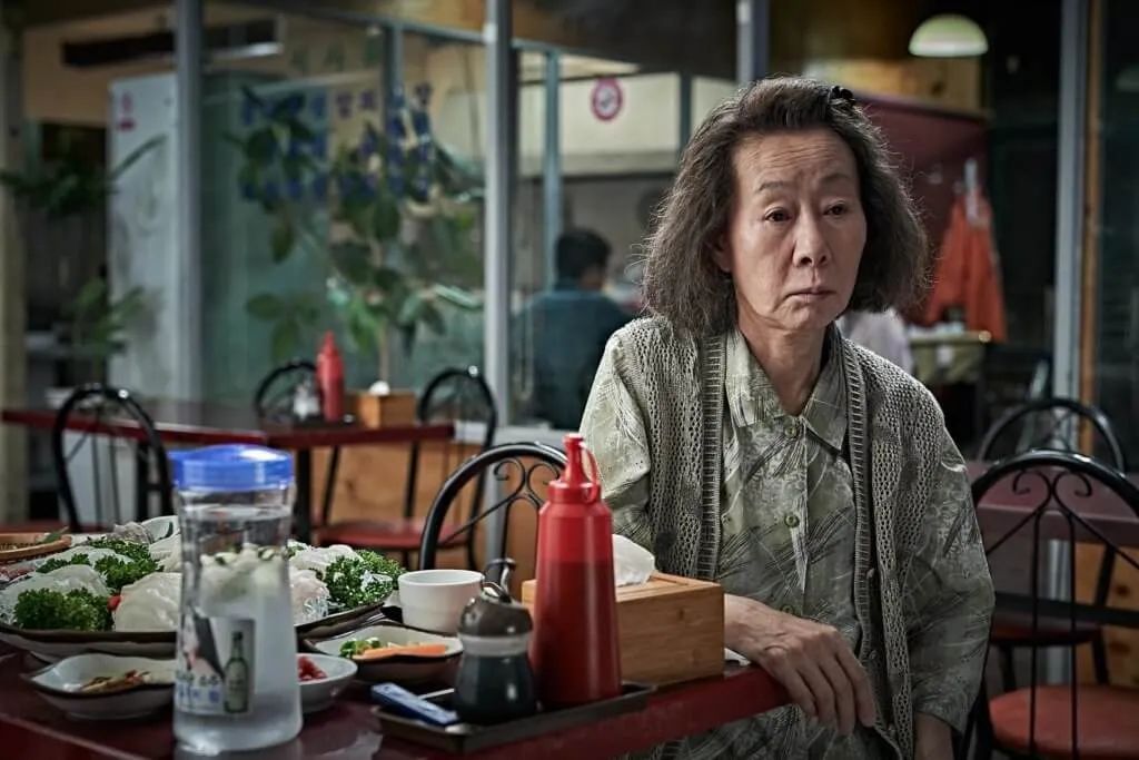 刘美含内娱隐形学霸,刘美含失意者联盟