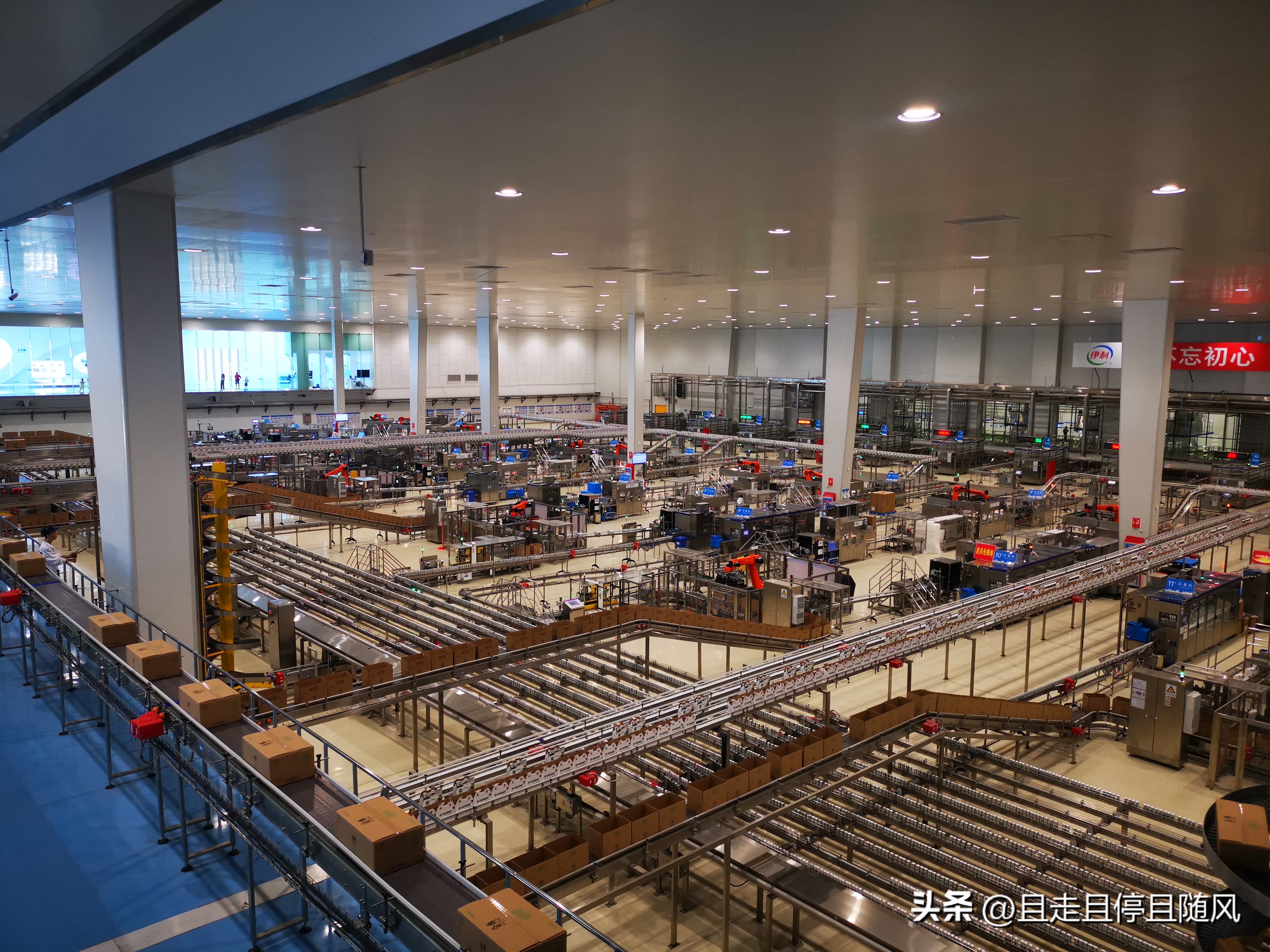 伊利参观呼和浩特,呼和浩特伊利工业园参观