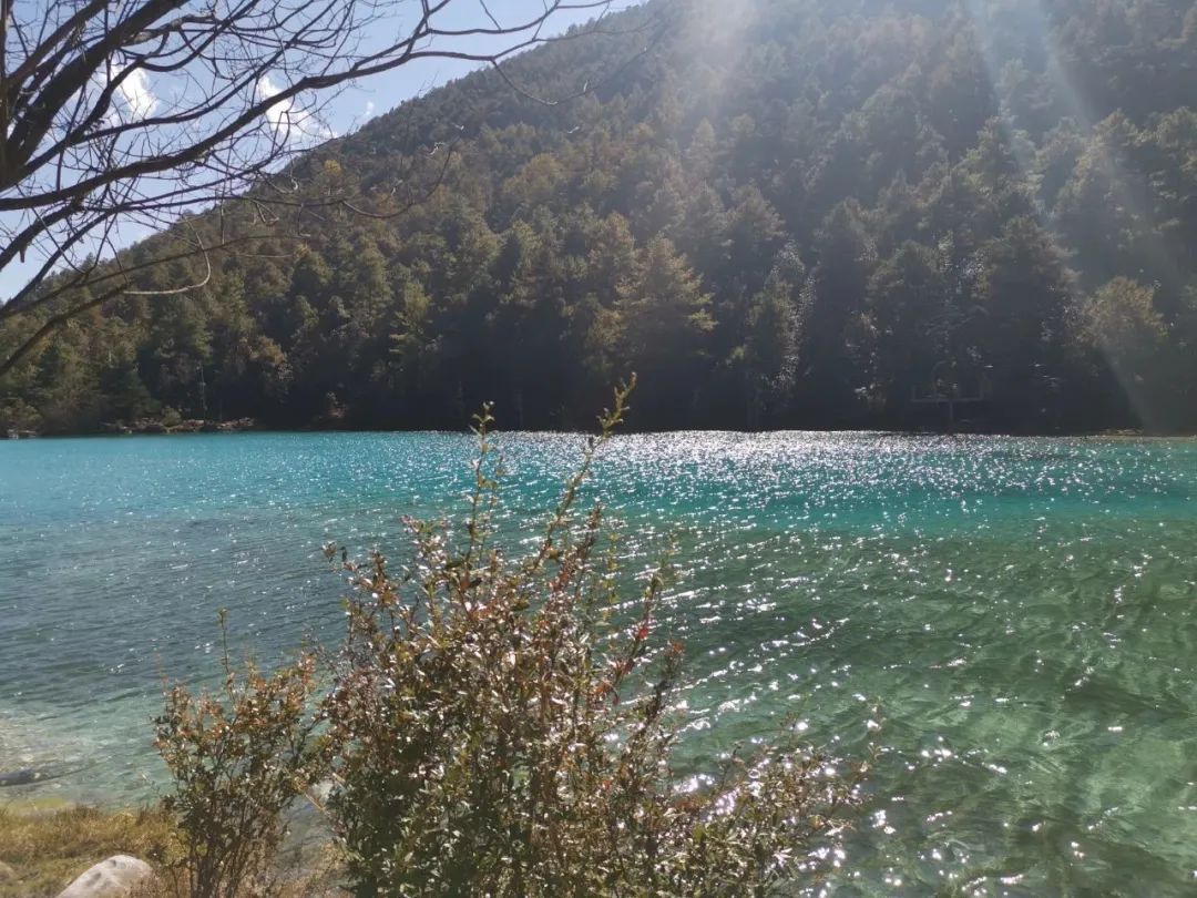 彩云之南雪山之巅,邂逅丽江慢时光