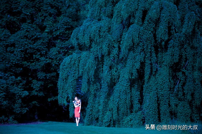 ai摄影师获奖,ai和摄影结合的摄影师