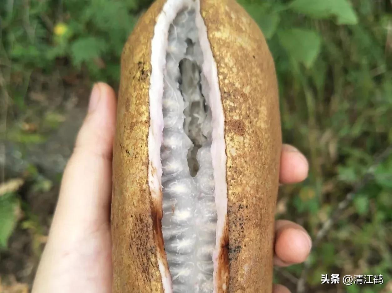 叶面肥增产技巧,叶面喷施肥助生长的配方