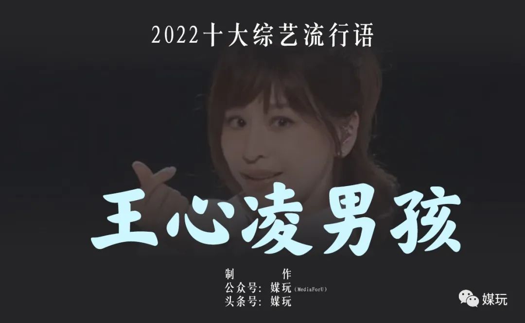 最流行的综艺梗,综艺十大流行语