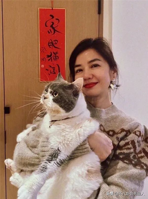 年过50却没生过孩子的12位女星,至今不生孩子的女明星