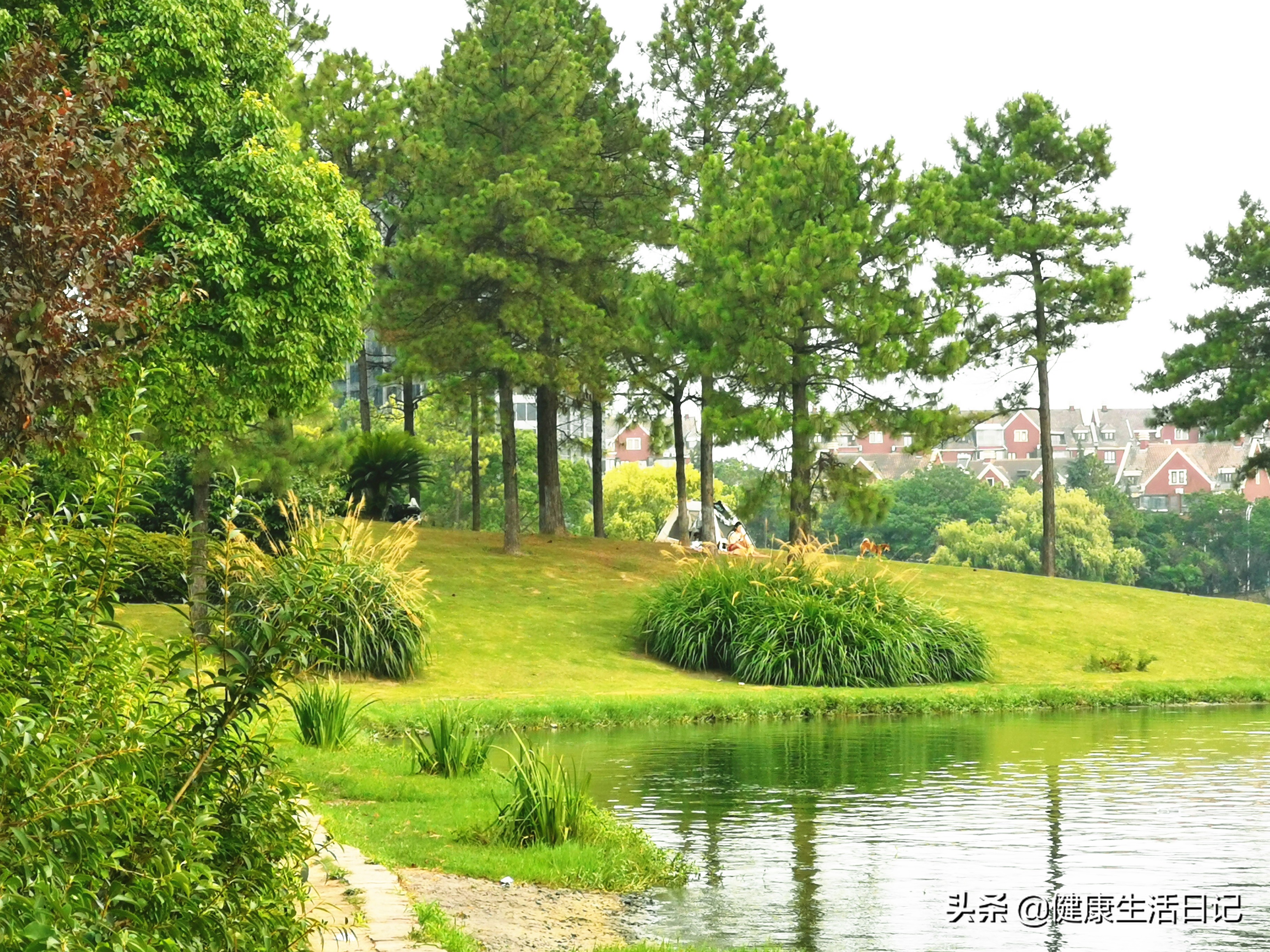 上海美兰湖度假,上海美兰湖好去处