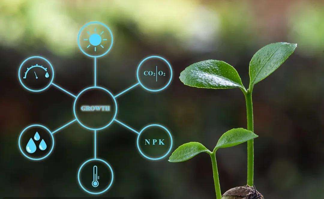 互联网思维是如何推进农产品发展,互联网背景下的农产品营销模式