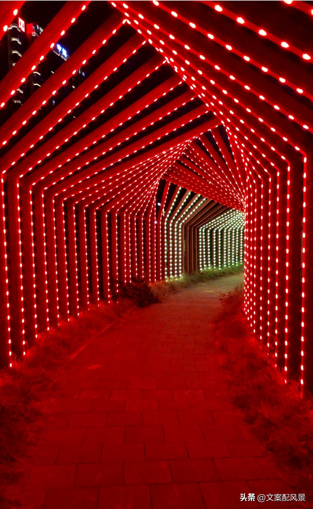 轮船港滨水公园什么时候建好,轮船港滨水公园