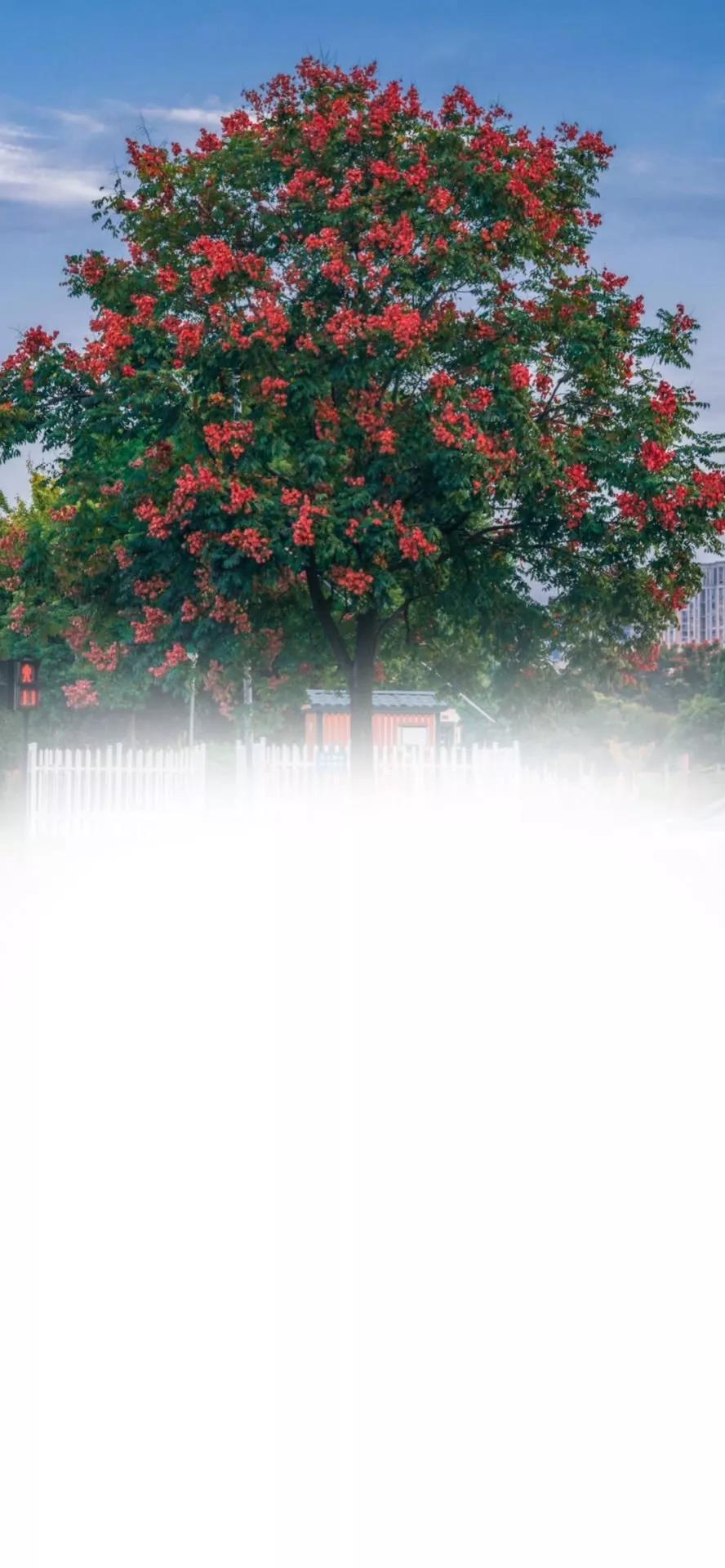 微信聊天背景图片,微信聊天背景图ins风