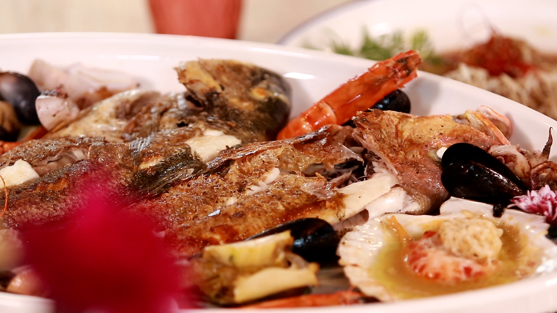 《今日岭南》走进珠海KONOBAMORE摩蕊餐厅|爱之浪漫，贵在分享