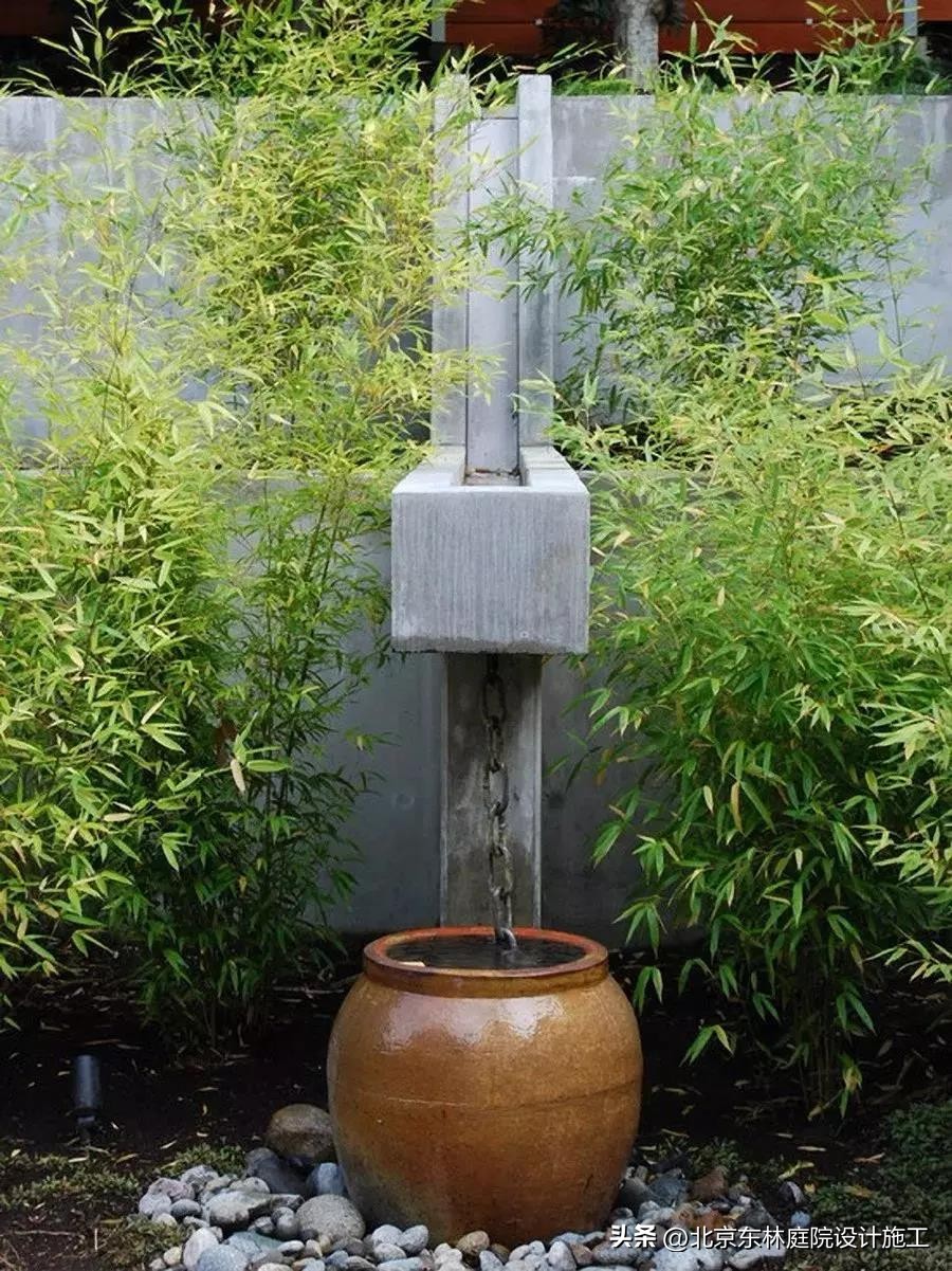 雨天怎么给植物光照,下雨天如何帮植物挡雨