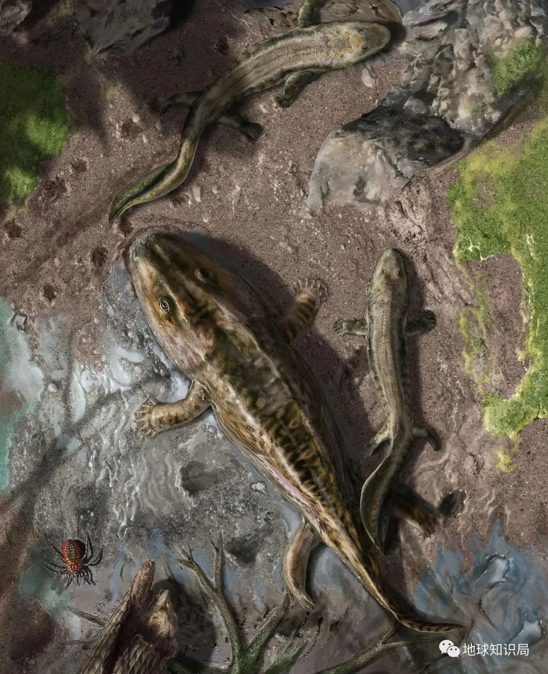 他们，做了一个违背祖宗的决定！|地球知识局