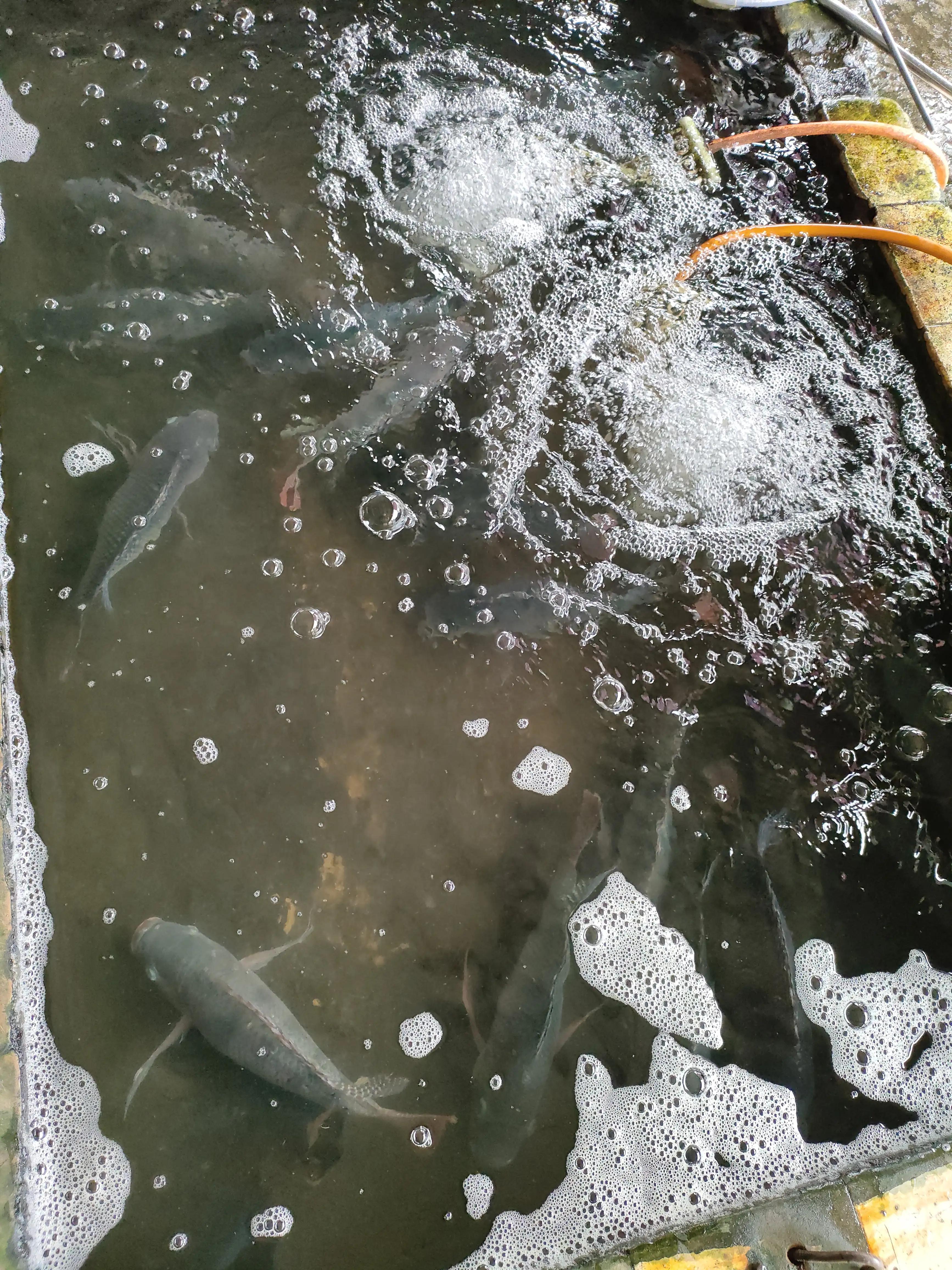 怎么把手机支付关闭,手机支付功能不能全部关闭