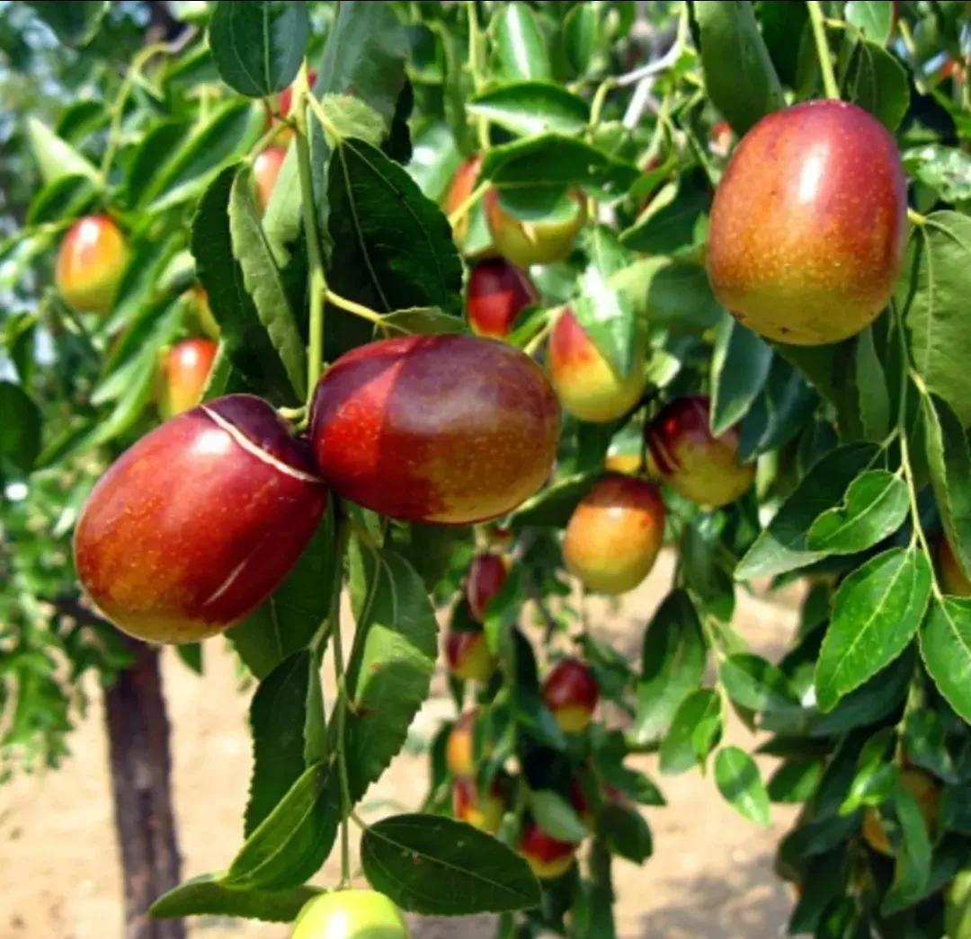 没文化做生意,做生意是做文化吗