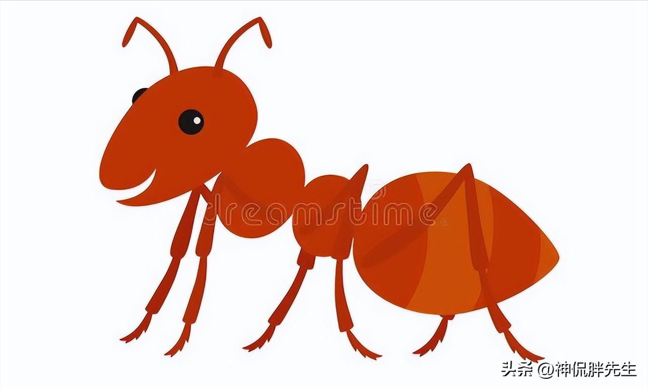 广东飞蚁有多可怕,广东人遇见飞蚁有多可怕